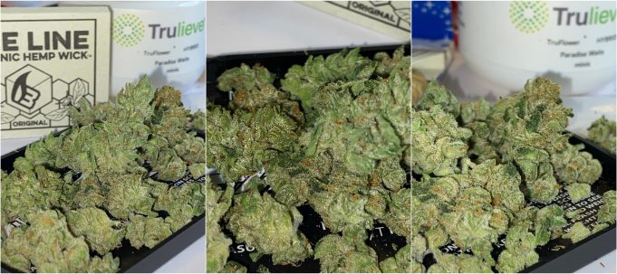 Trulieve Paradise Waits Flower Review – Good Quality and Smell trulieve paradise waits review