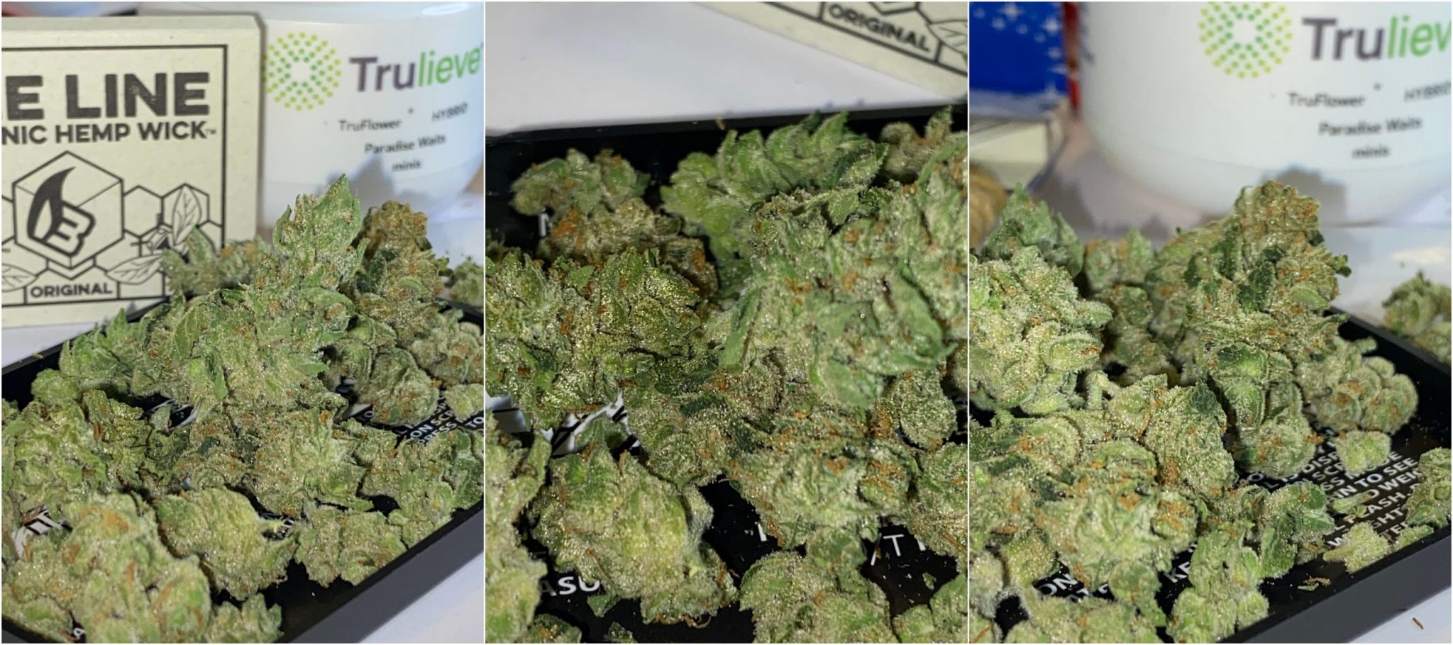 Trulieve Paradise Waits Hybrid Flower Review Good Quality and Smell