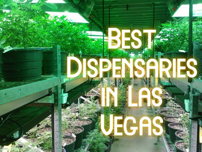 best dispensaries las vegas
