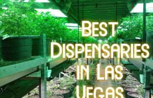 best dispensaries las vegas