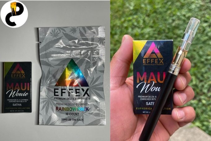 Effex Review – Smooth and Tasteful Delta 8 & Delta 10 Cartridge effex