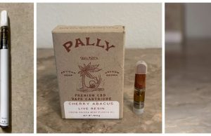 pally-carts-review-1099x420