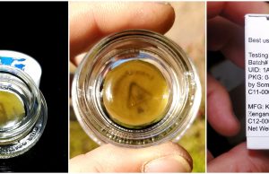 terp hogz live rosin review