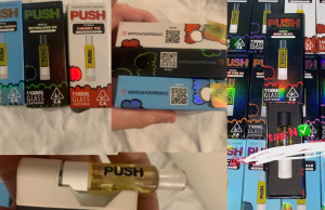 Push_Carts_fake