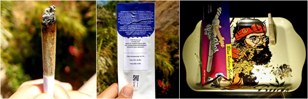 cannatique-roll-up-review cannatique roll up review