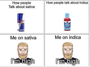 Sativa-vs-Indica-2021