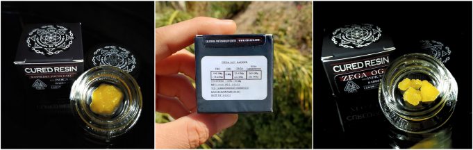 cannabis cvlt review