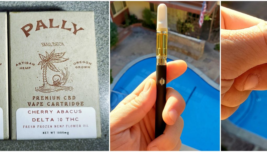 pally-delta10-review pally delta10 review