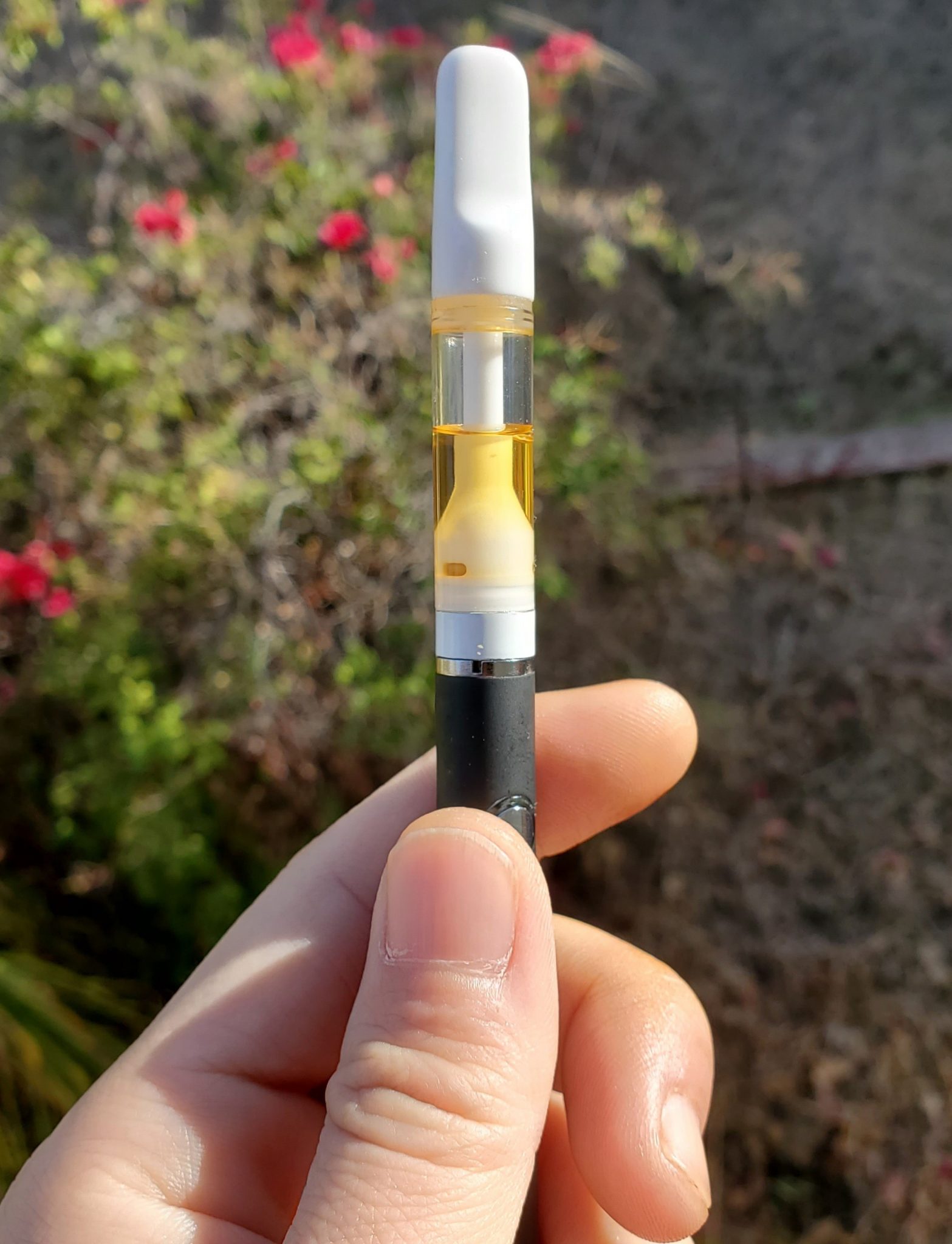 Spensary Delta-8 Cartridge Review - Top-notch Quality