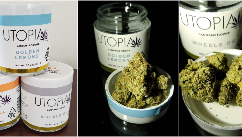 utopia-flower-review utopia flower review