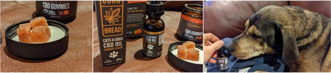 Cornbread Gummies and Pet CBD Review – Natural and Easy to Get cornbread gummies review
