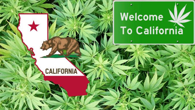 Top 10 Cali Weed : The Best Flower We Smoked in 2021 Image