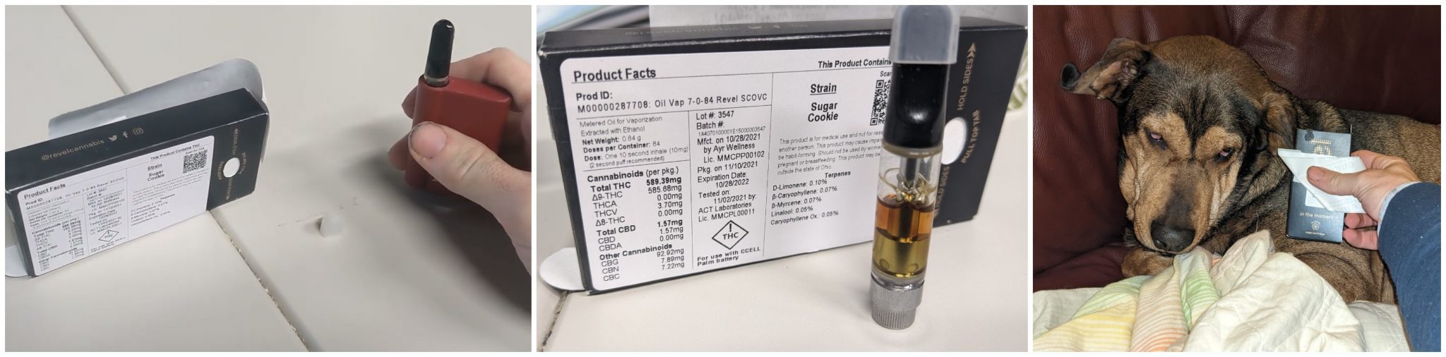 Ayr Wellness Vape Cart Review - Decently Priced but Not That Tasty