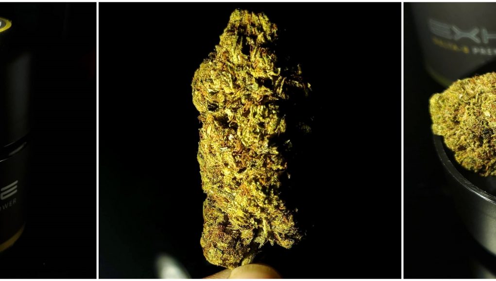 exhale delta 8 flower review