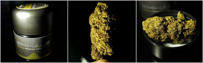 Exhale Delta-8 Flower Review – Solid and Harsh exhale delta 8 flower review