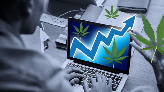Exploring the US Cannabis Market With Search Trends Cannamarket