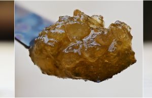 bear labs resin review