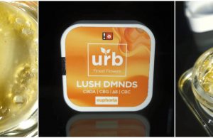 urb diamonds review