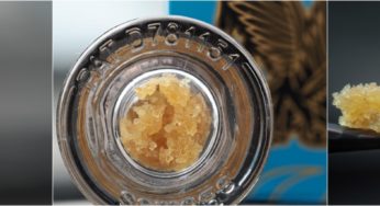 Claybourne Co. Eagle Extracts Review – For Light Users On a Budget