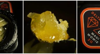 Smilyn Hemp Delta-8 Diamonds Review – Smooth and Affordable