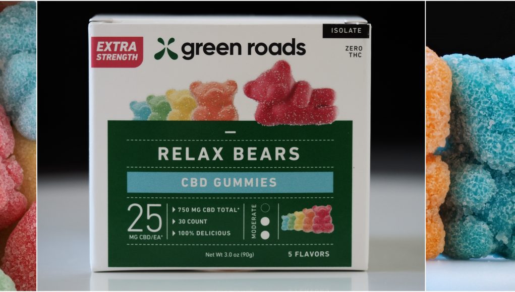 relax-bears-review relax bears review