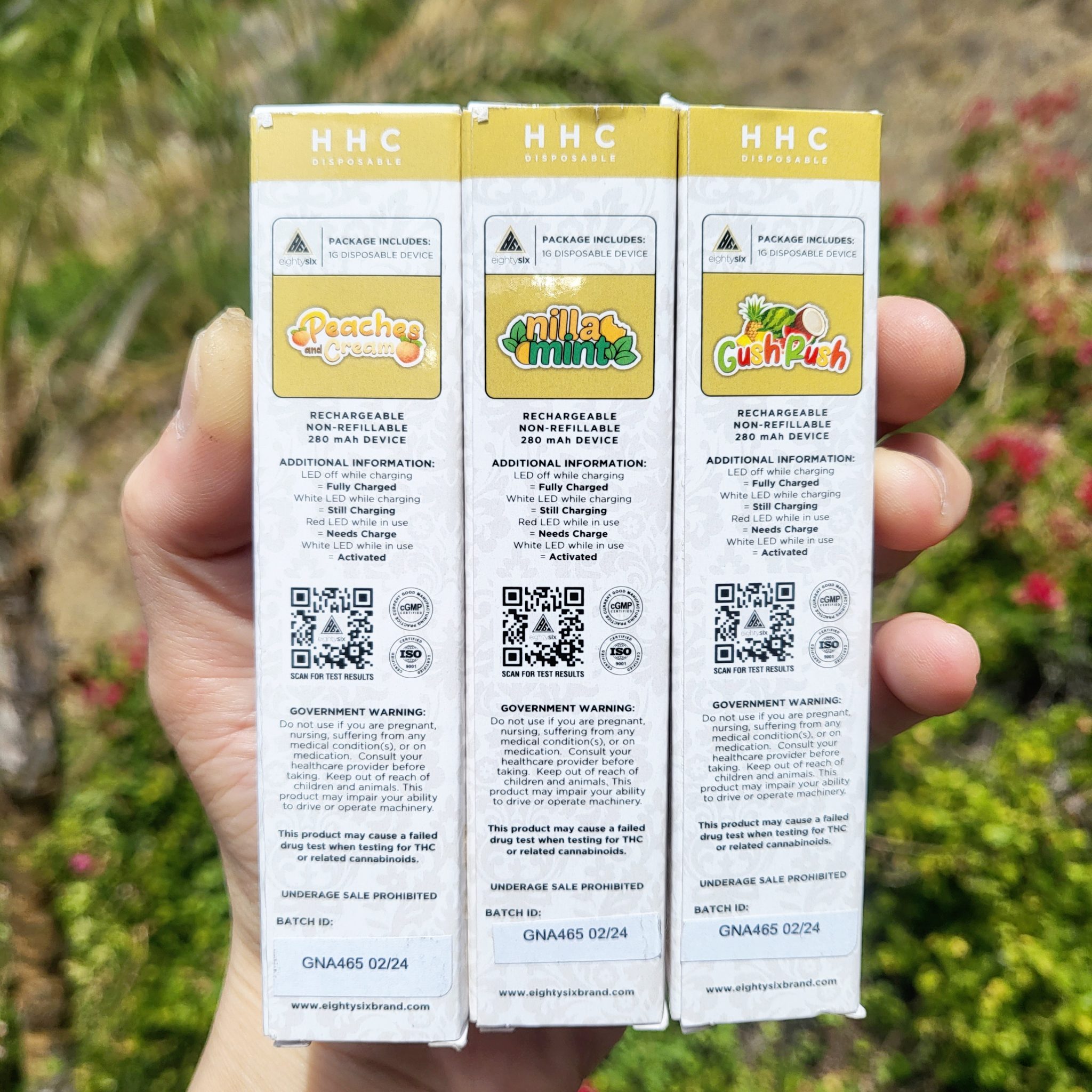 eighty six brand hhc disposable back box