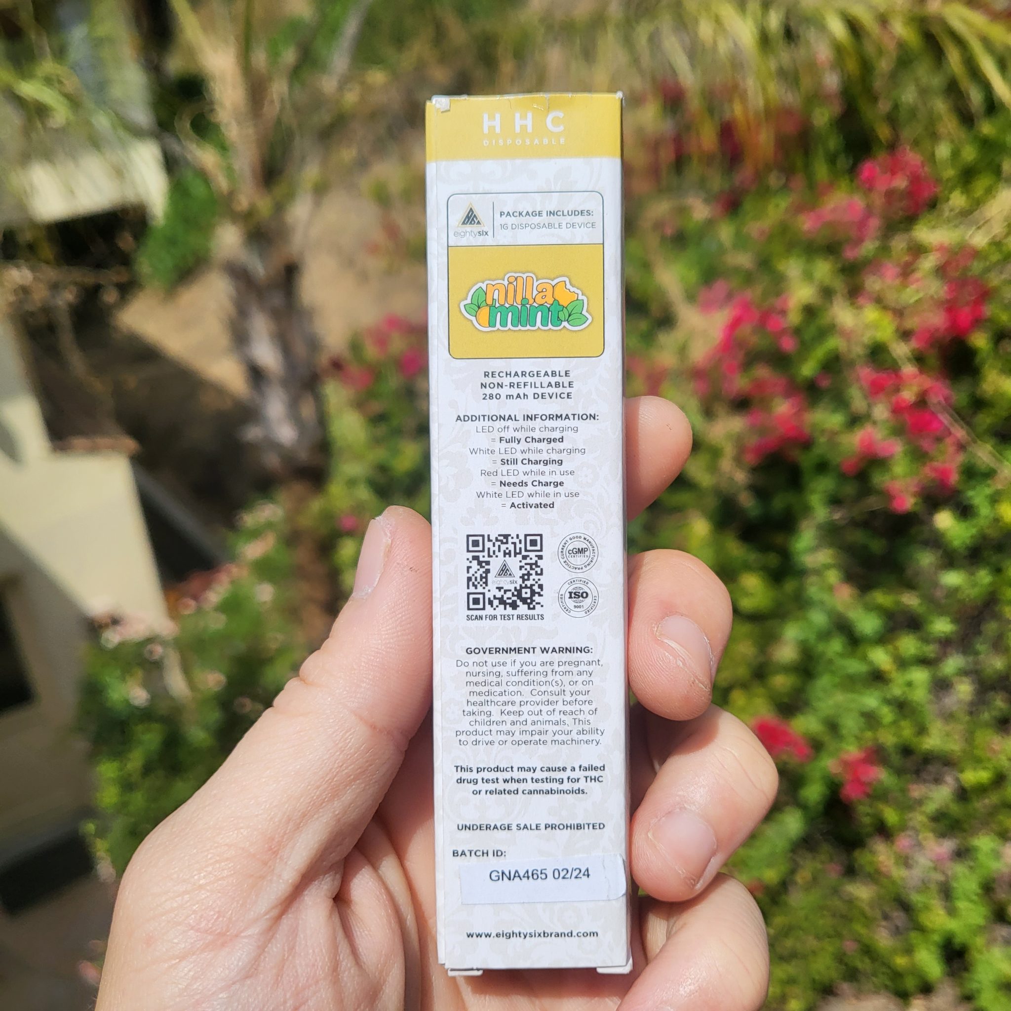 eighty six brand hhc disposable nilla mint