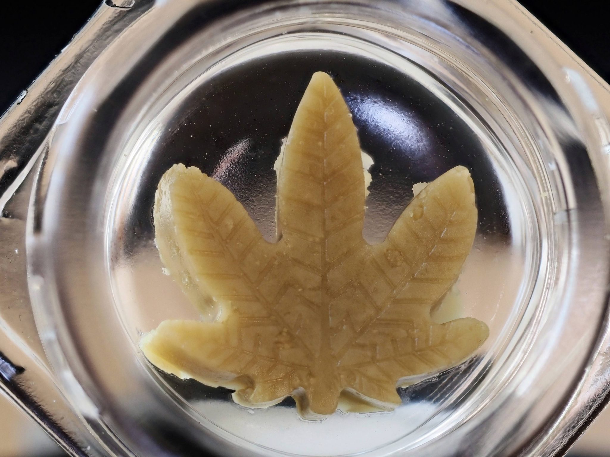 Paradox 1g T1 Live Rosin - Banana Vision