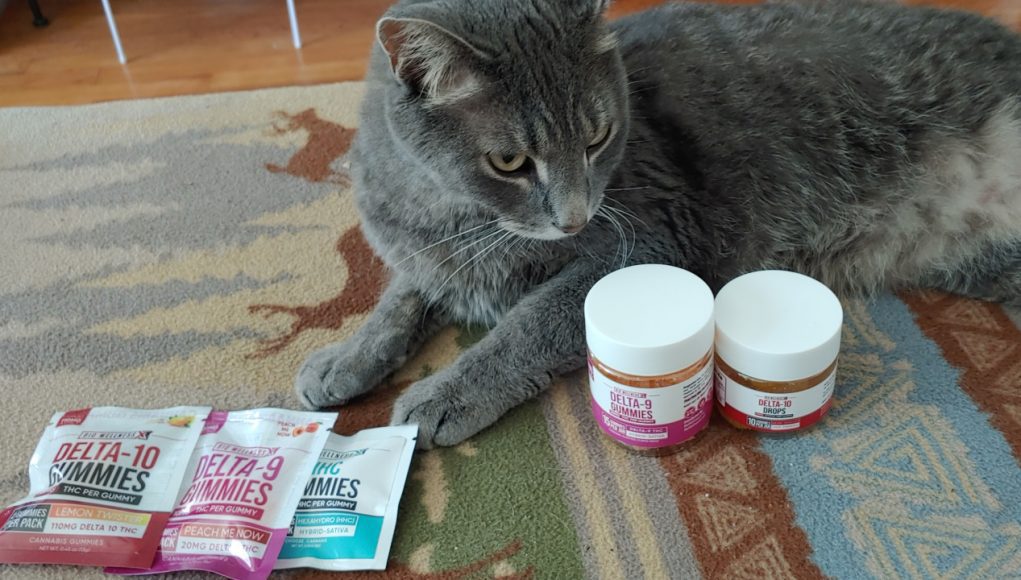 review-BiowellnessX-edibles review-BiowellnessX-edibles