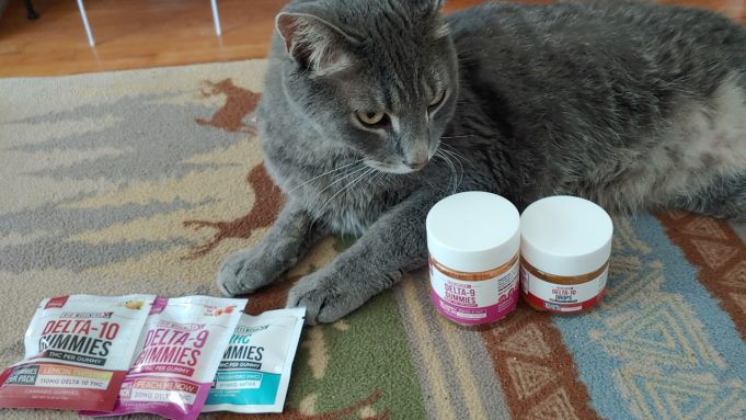 review-BiowellnessX-edibles