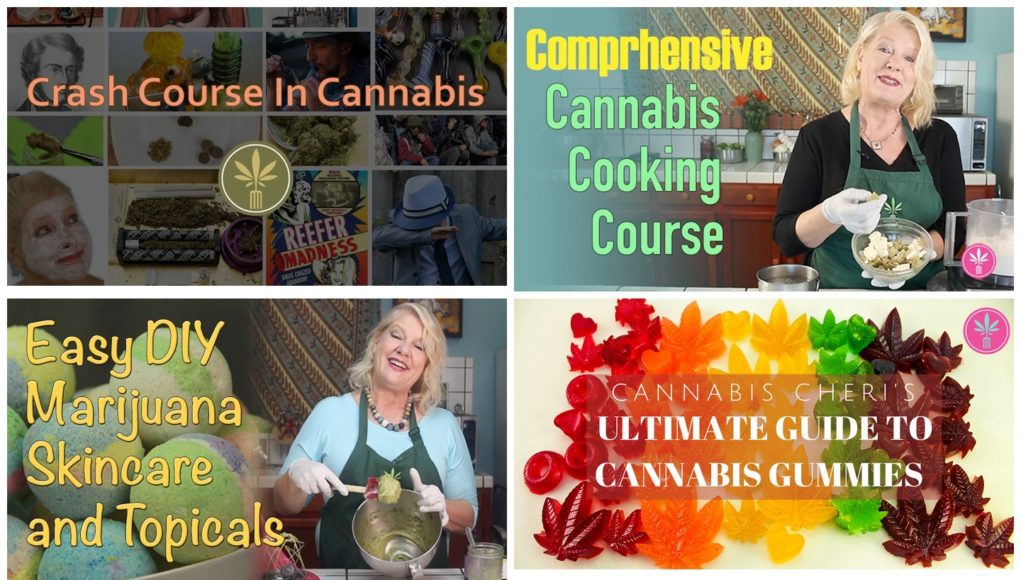 cannademy-course-review cannademy course review