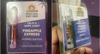 Industrial Hemp Farms Delta 8 Cart Review – Great Stuff