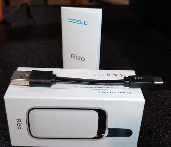 CCELL_Rizo8