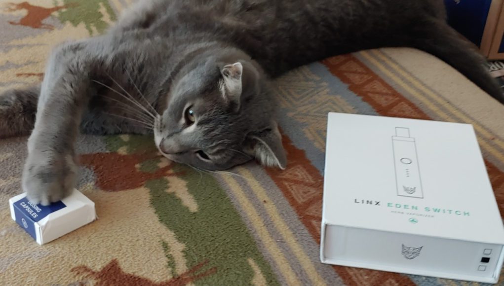 Riddle-and-Linx-Eden-Switch