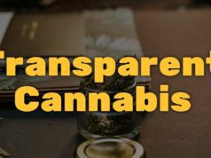Transparent Cannabis: The Truth About Testing & Inflated THC kush review