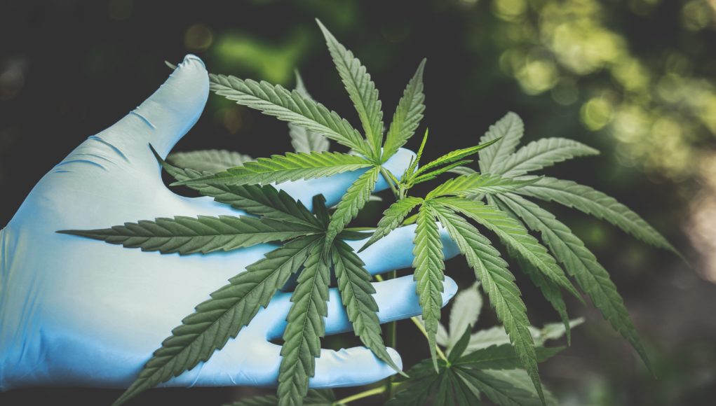 pexels-aphiwat-chuangchoem pexels aphiwat chuangchoem