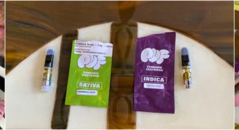 PUF THC Cartridge Review – Good Price and Taste