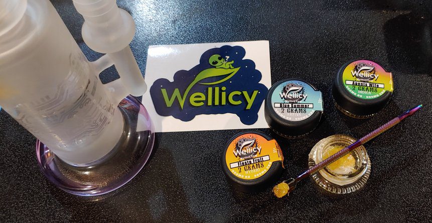 dabbing-with-Wellicy