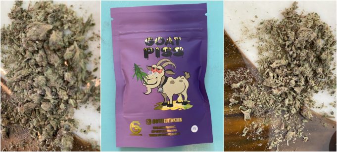 GFIVE Cultivation Flower Review – Dry but Tasty gfive flower review