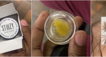 STIIIZY Extracts Curated Live Resin Review – Tasty and Potent