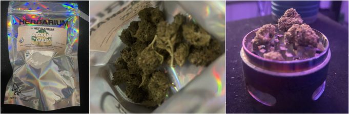 Herbarium Flower Review – Good Value and Quality herbarium flower review