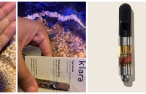 kiara cbd vape pod review