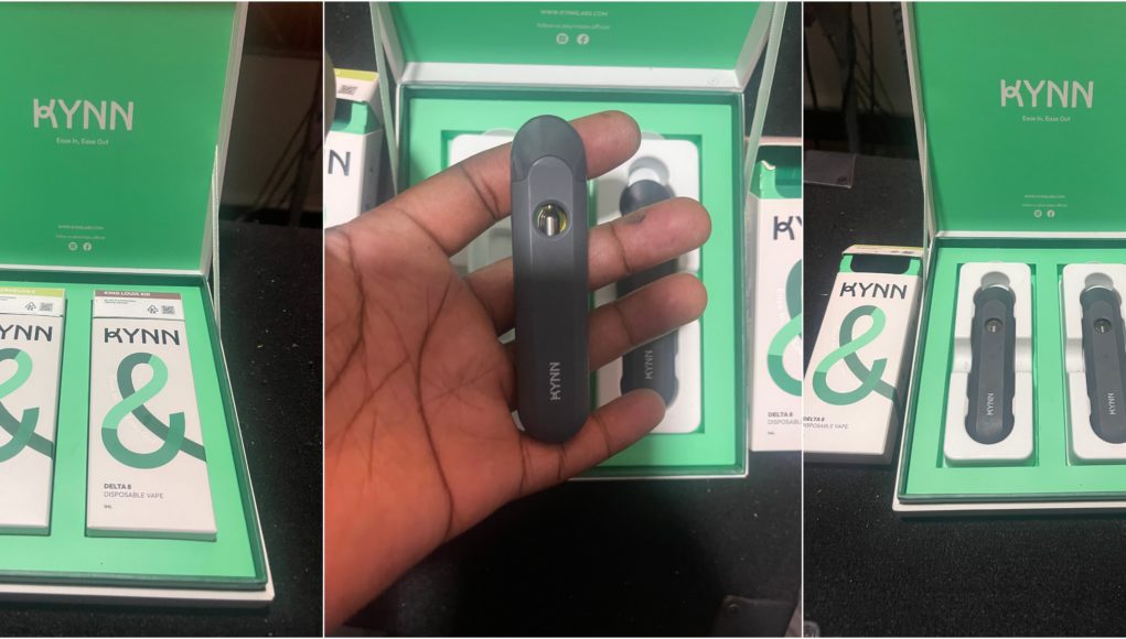 kynn-disposable-review kynn disposable review