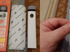 CBDFx CBD Pen | Blast of Flavor and Good Effects CBDFx-CBD-Pen
