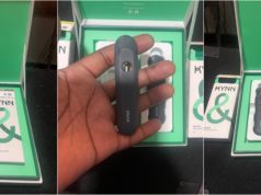 Kynn Delta 8 Disposable Review – Solid Taste and Design kynn disposable review