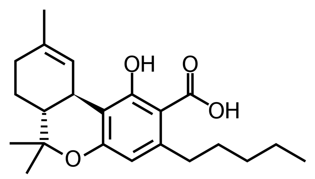 2560px-Tetrahydrocannabinolicacid.svg