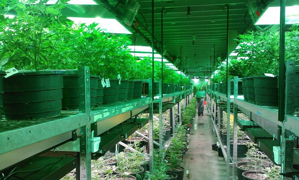 dispensary-photo dispensary photo