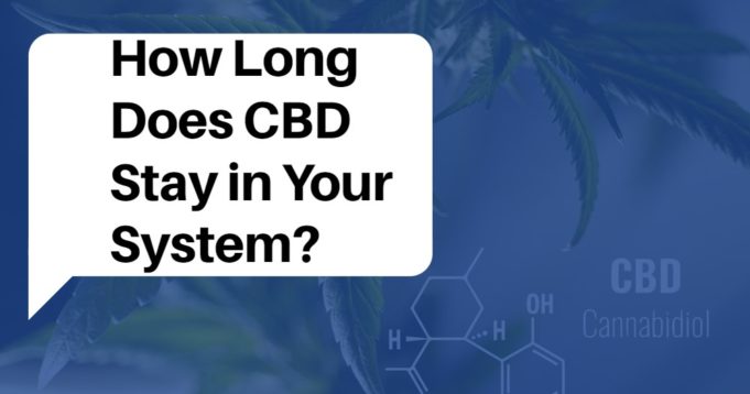How Long Does CBD Stay in Your System? how long cbd