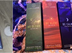 CBD Luxe Vape Pens Review – Gets You Through the Day cbd luxe pens review
