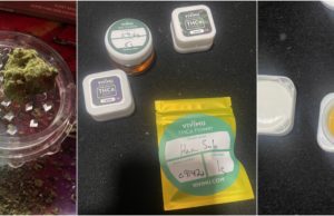 vivimu thca review